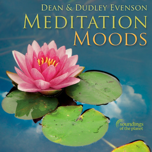 可观看免费看污网站
